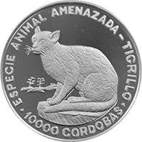 Anverso de la moneda Especie Animal Amenazada Tigrillo